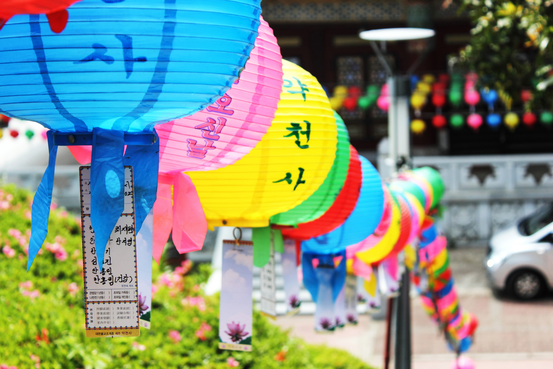 济州岛最美线路,济州岛好玩的攻略