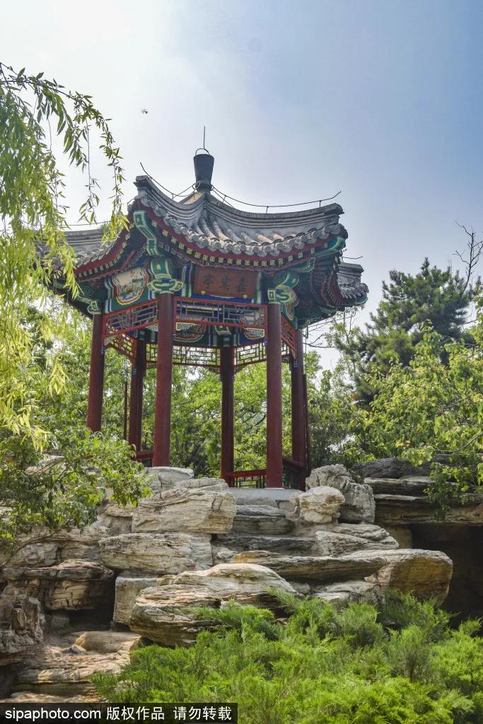 紫色花海免费版,紫色花海免费