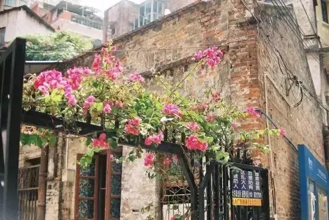 广州白天避暑好玩的地方推荐,广州哪里适合避暑旅游