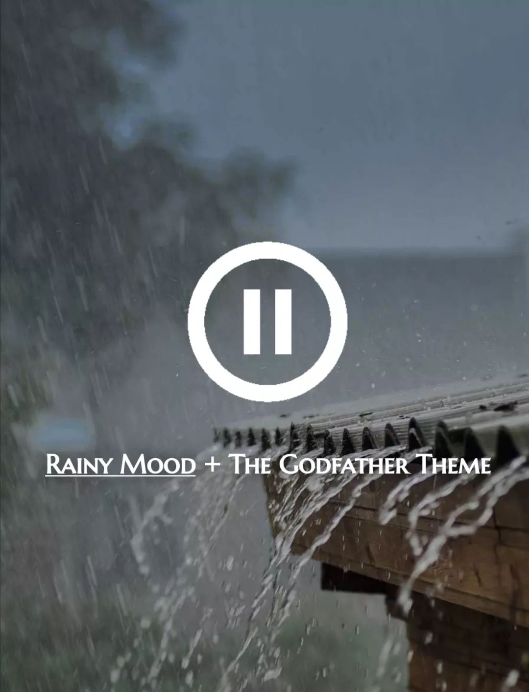 九月分享橱窗好物,九月分享穿搭