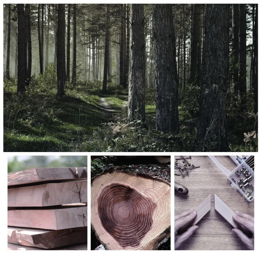 为什么粉丝质量很差,为什么有的人在意品牌真假