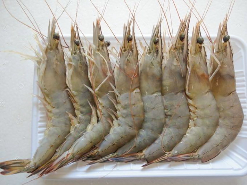 大虾放冰箱正确的冷冻方法,做好的大虾怎么放冰箱保存