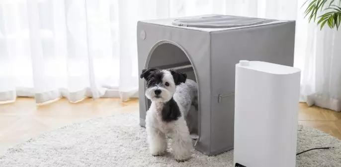 宠物烘干机便捷,宠物烘干机可以烘衣服吗