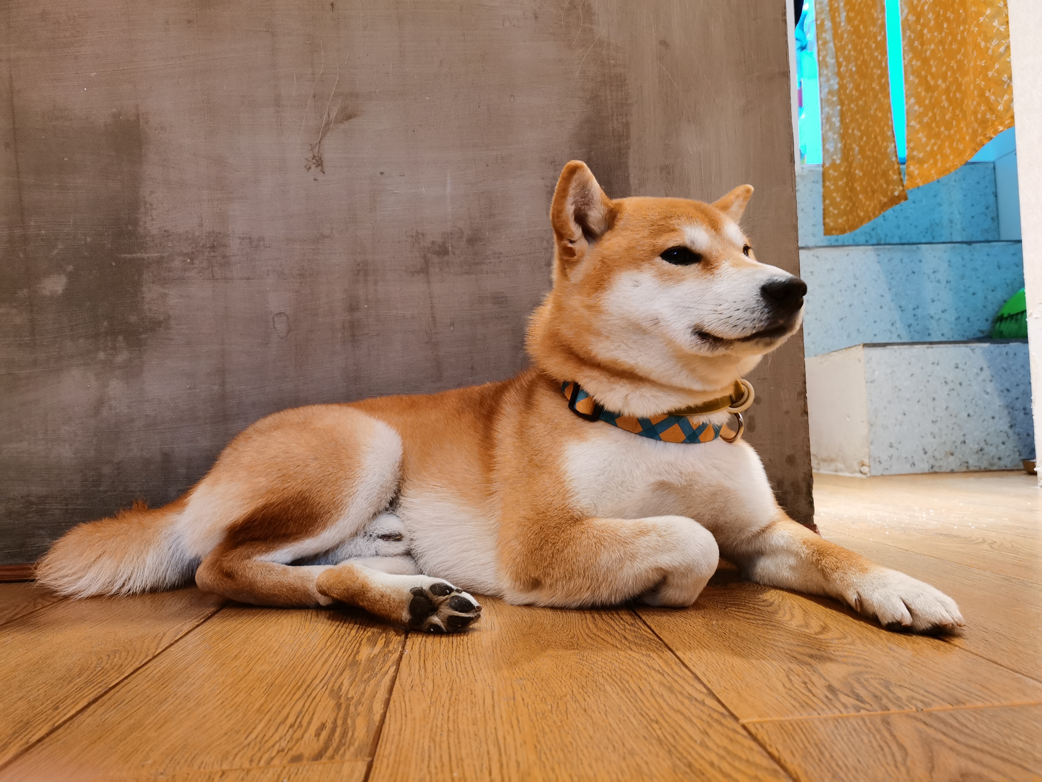 荣耀v305g游戏测评,荣耀v305g版缺点与不足