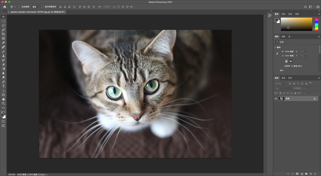 photoshop日常工作上比较实用的技巧,入门photoshop的必备基础