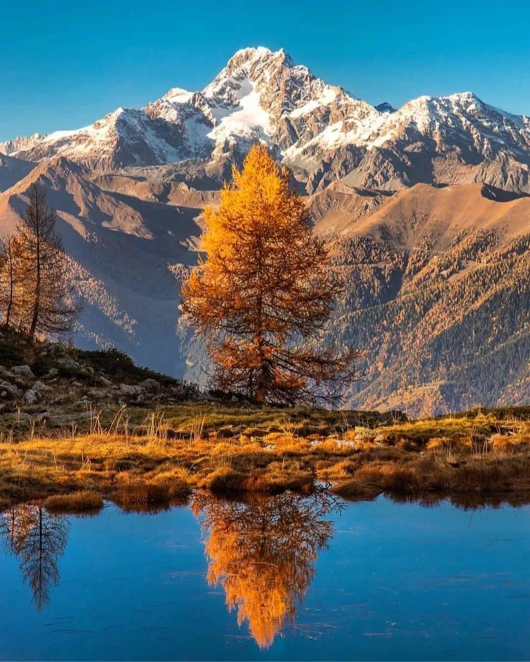 摄影怎么拍出物品倒影,摄影基础影像知识