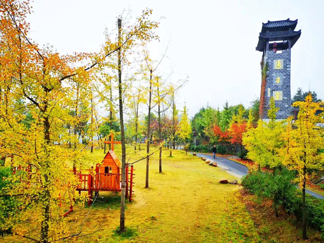 秋天赏枫叶好去处,赏红叶正当时