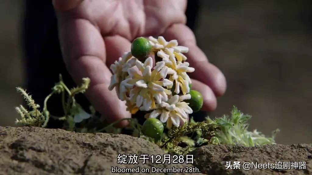 9.7分的史诗级巨制,9.6分这才是今年必看史诗大片