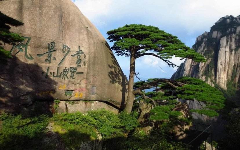 历史四大知识,中国的四大知识