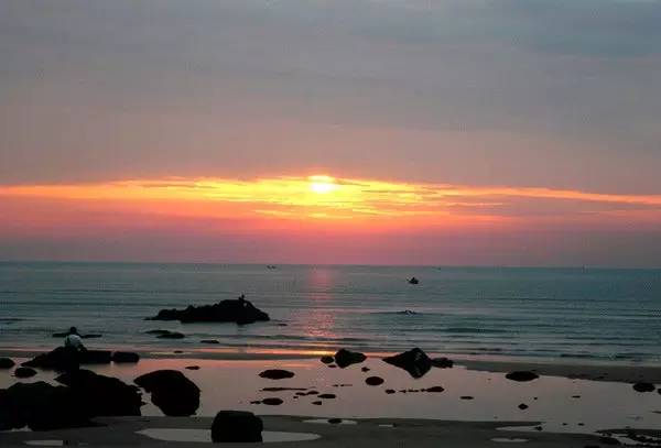 佛山顺德四小虎,四小虎之一顺德