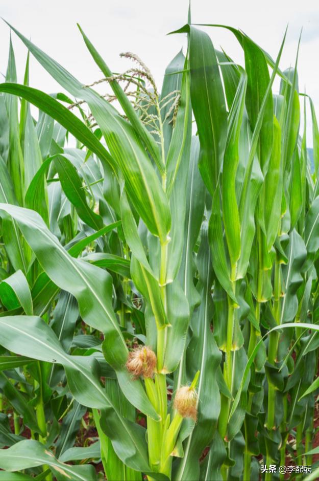 我相信，世界上有很多很多人，都是新伤叠着旧伤走过来的