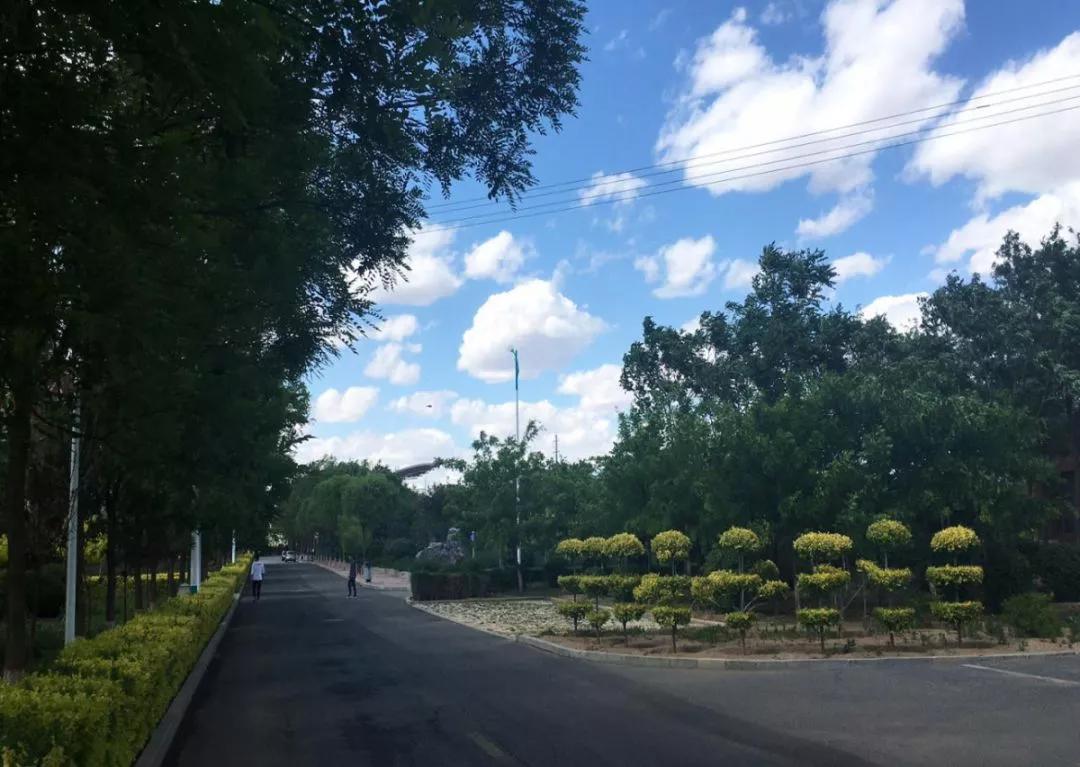 辽宁工程技术大学辽宁省分数线,辽宁工程技术大学在辽宁省排名