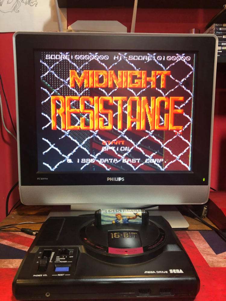 世界上速度最快的刺猬,世界上跑得最快的刺猬第二季