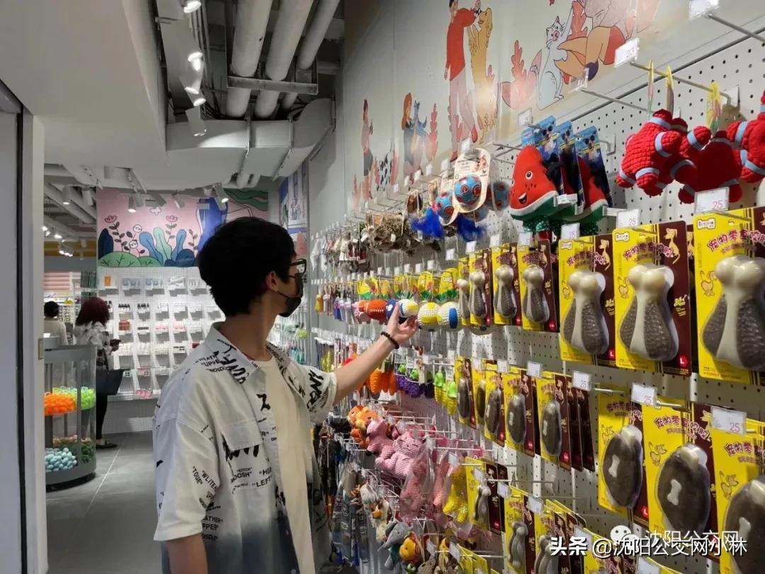 玫瑰大酒店中街,玫瑰大酒店在哪