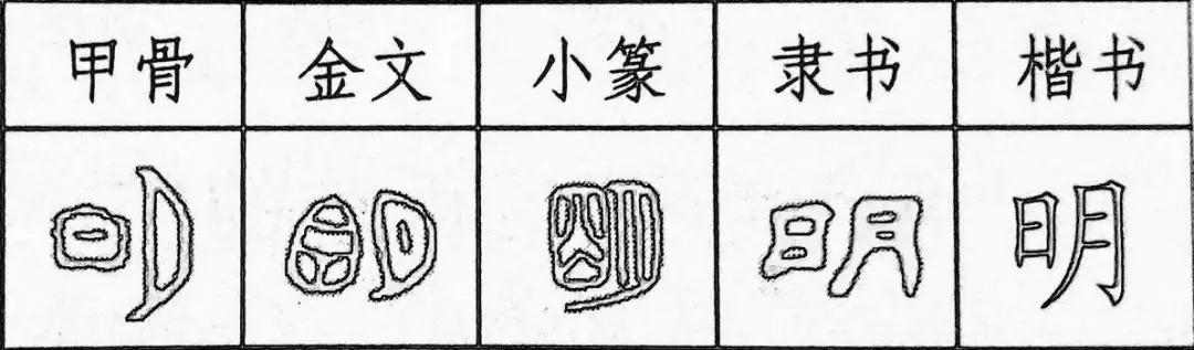“明”字家族：明、萌、盟，在黑暗中等待唤醒的生命