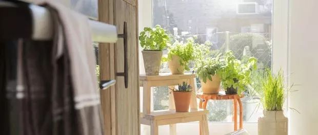 假结婚违法案例,假结婚被骗婚