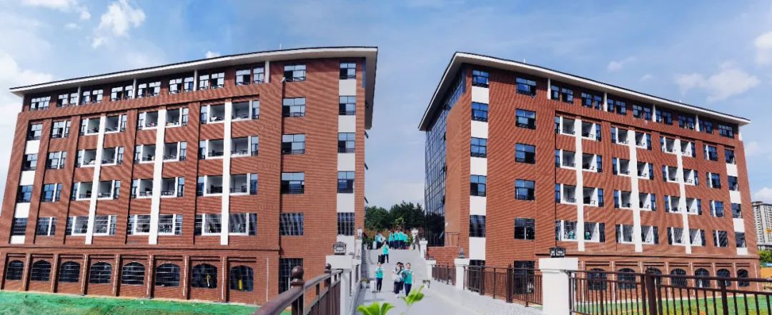 新蒲的学校,新蒲新区附近有什么学校