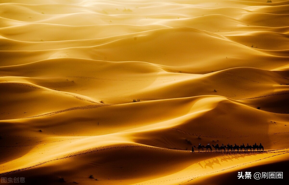 六年级作文一单元变形记范文,六上第一单元作文变形记优秀范文