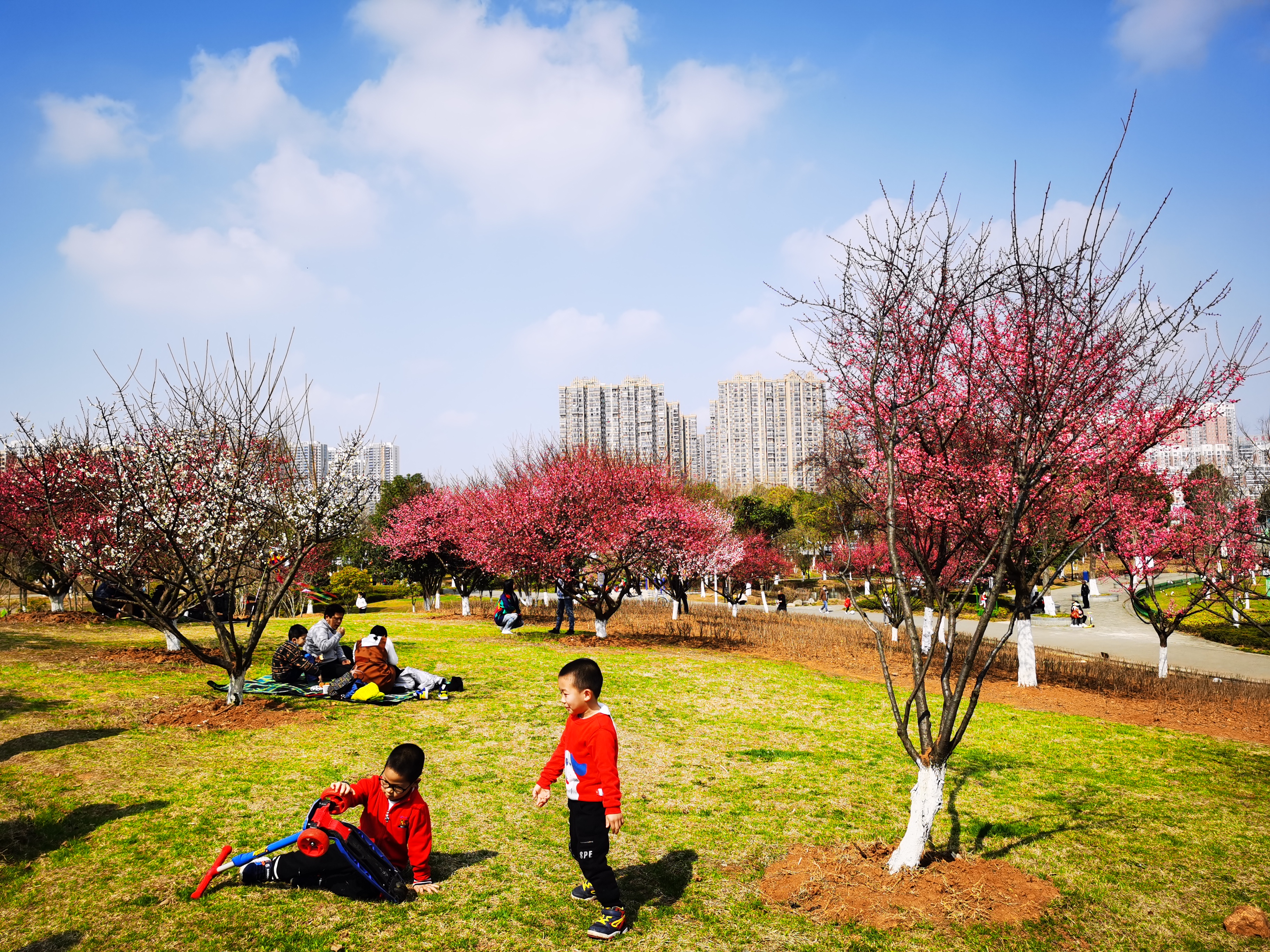 沉睡的历史与惊艳的现实——走读东西湖