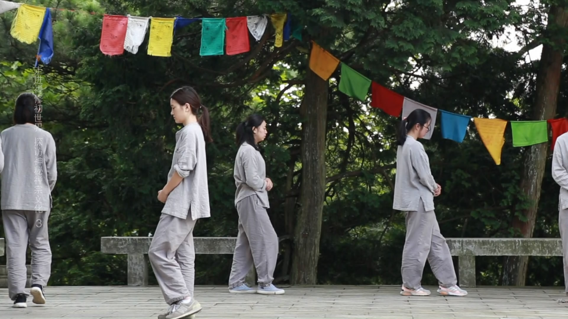 庐山禅修视频,庐山佛教发展史