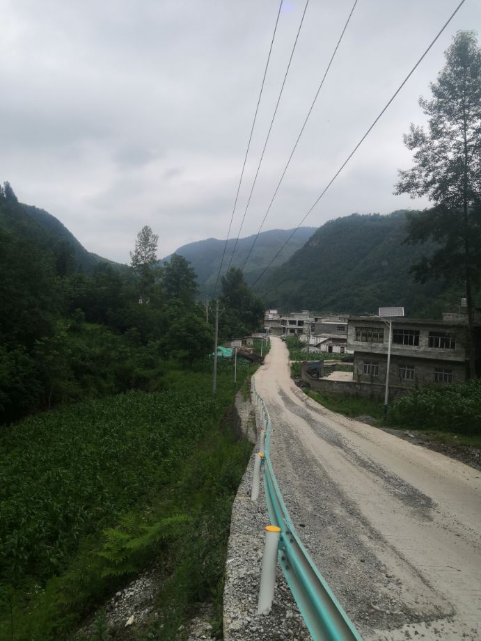 《山沟沟里飞向蓝天的雄鹰》～蔡鑫