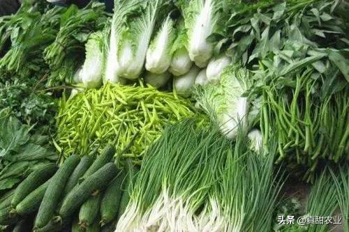 南销暂时谨慎发展，产区氛围小现活跃，西生香菜挤入上流