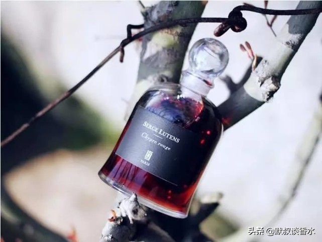 芦丹氏深渊书简鉴定,芦丹氏深渊书简