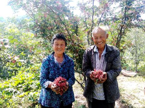 林州幸福生活是奋斗出来的图片,太行山的幸福生活