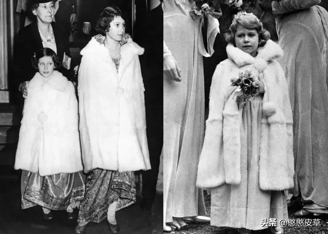 真假皮草区别是什么如何辨认,貂毛皮草真假怎么辨别