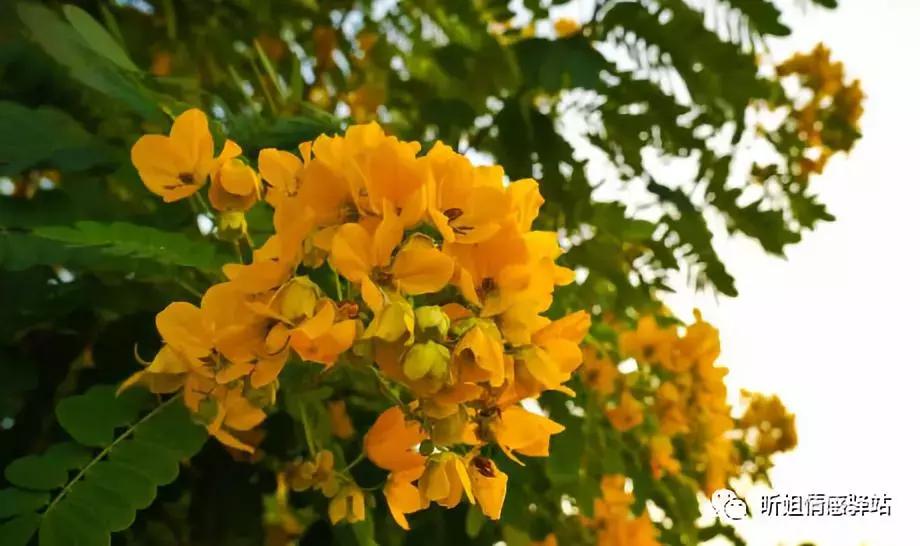 涂磊经典语录句句入心婚姻,涂磊经典语录大全完整版