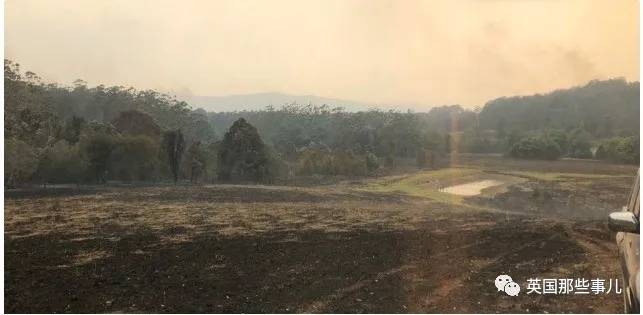 蓝鲸实拍有多大,蓝鲸到底有多大参照物