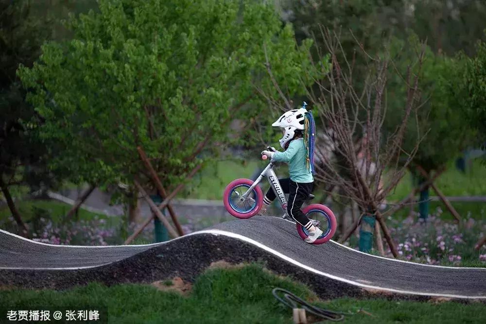 洛阳适合休息的公园,洛阳免费公园景点大全