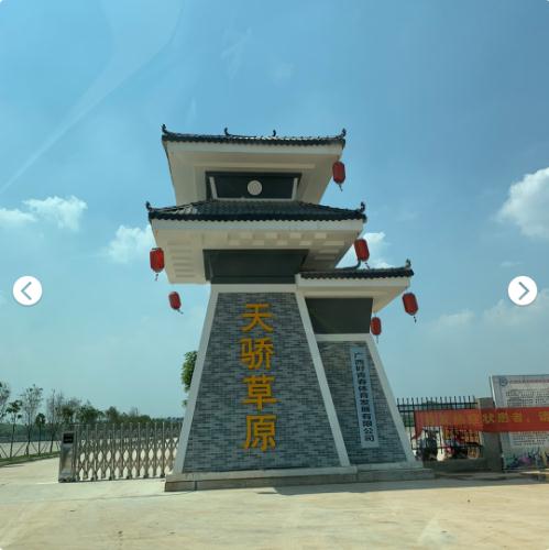 南宁隐藏的景点,南宁周边农家乐游玩景点推荐