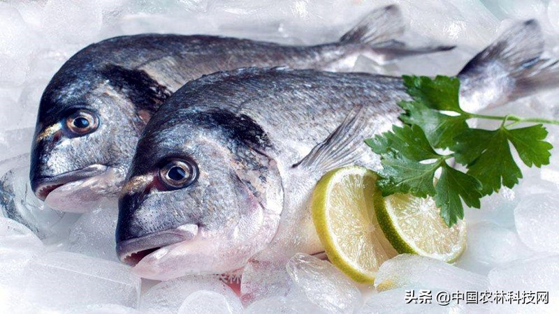 春节快到了买年货注意什么,过年海鲜干货类年货必备