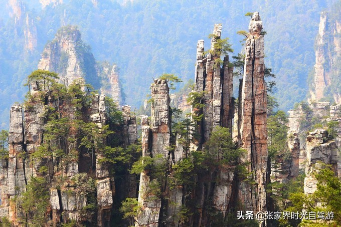 张家界森林公园亲子游攻略,张家界旅游攻略现在张家界气温