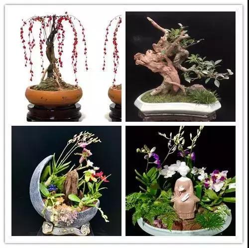 此生一定去要去的地方,此生一定要去这个地方