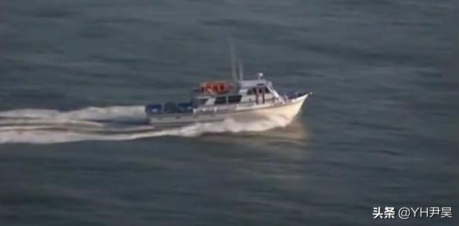 发生在美国的罕见事件，大白鲨遭遇神秘生物捕杀，真相颠覆认知