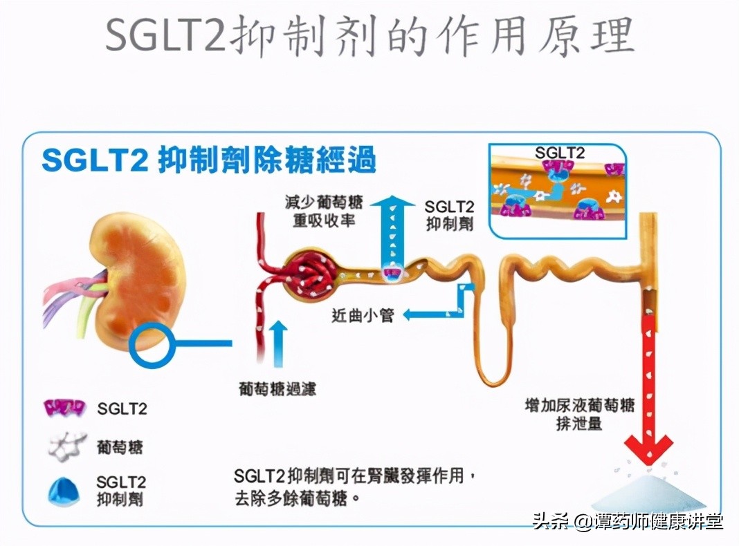 目前国家组织的5批药品集中采购目录—降价中标的糖尿病药物解析