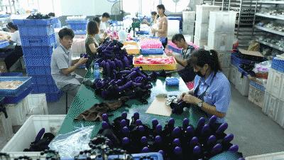 疫情期间避孕套销售数量,疫情避孕套销量