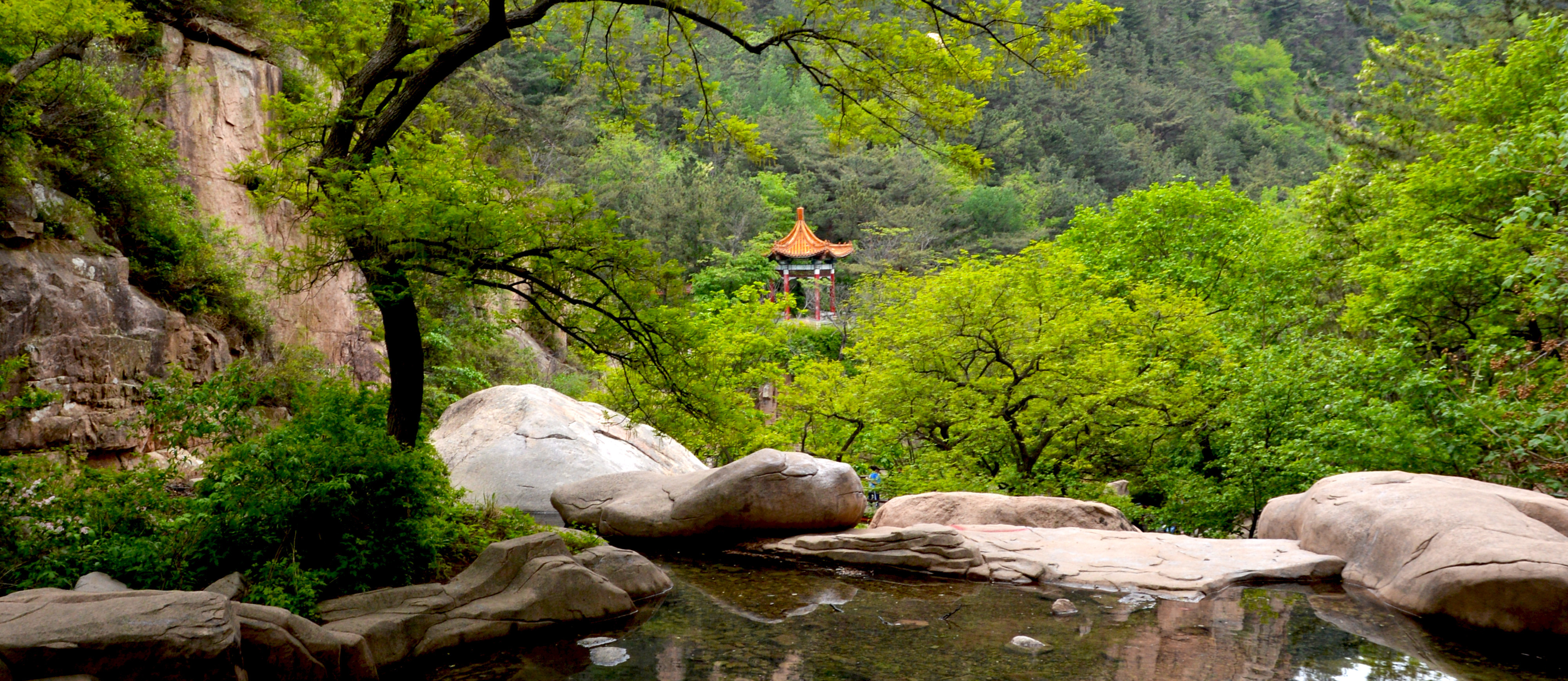 中国茶韵品牌,中国茶韵之西湖龙井茶