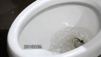 商场里厕所自动冲水引发尿路感染,马桶冲水尿路感染