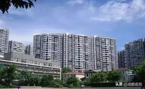 2020年成都私立小学排名,2020成都私立小学五朵金花