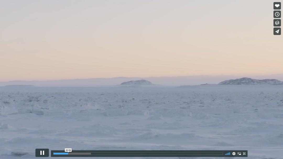 猎杀海豹，吃肉不吃素？！原住民们怒怼动保组织：站着说话不腰疼