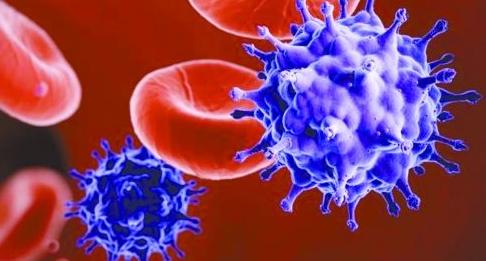 小浣熊爪子有狂犬病毒吗,浣熊呆萌