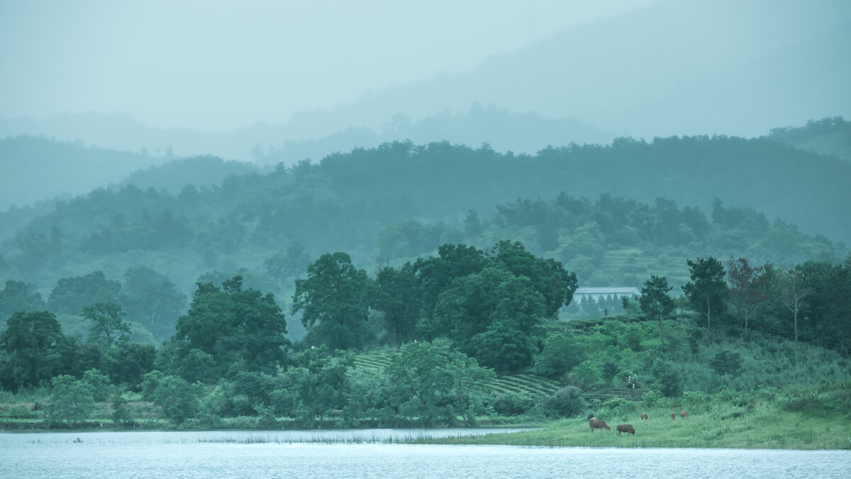 苏东坡最经典的七句诗,苏东坡最经典20首词