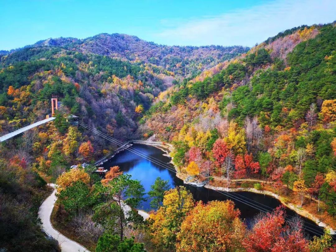 清凉寨丨“枫”景尚好,年会火热预定中!