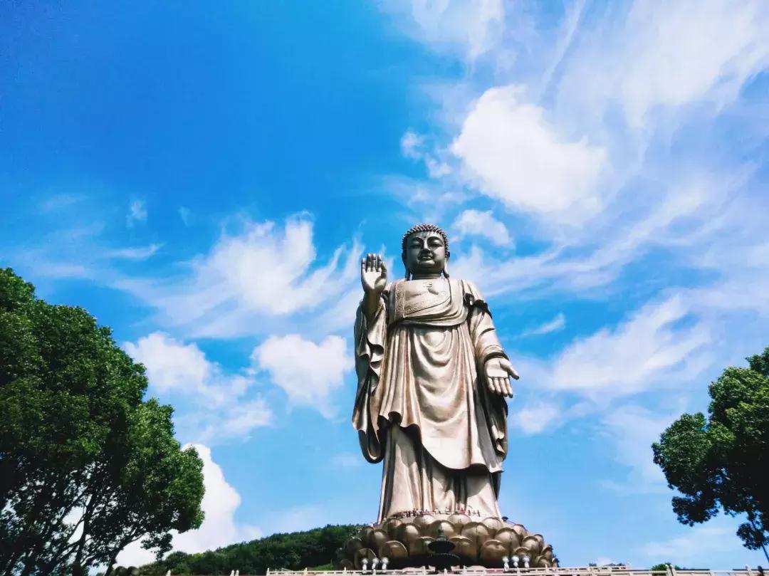 随处皆祥云诸佛现全身手机全景角度下的灵山大佛