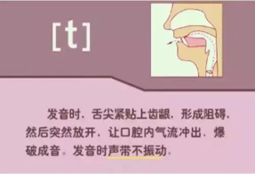 英语音标48个发音谐音表图片,英语音标发音48个教学视频