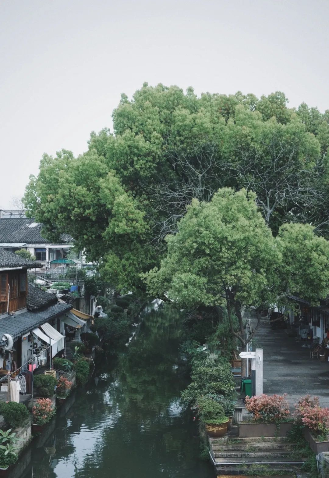 绍兴原汁原味的江南水乡,绍兴最原汁原味的江南水乡古镇