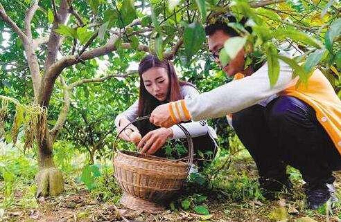 农村互联网养殖创业政策,互联网农民致富